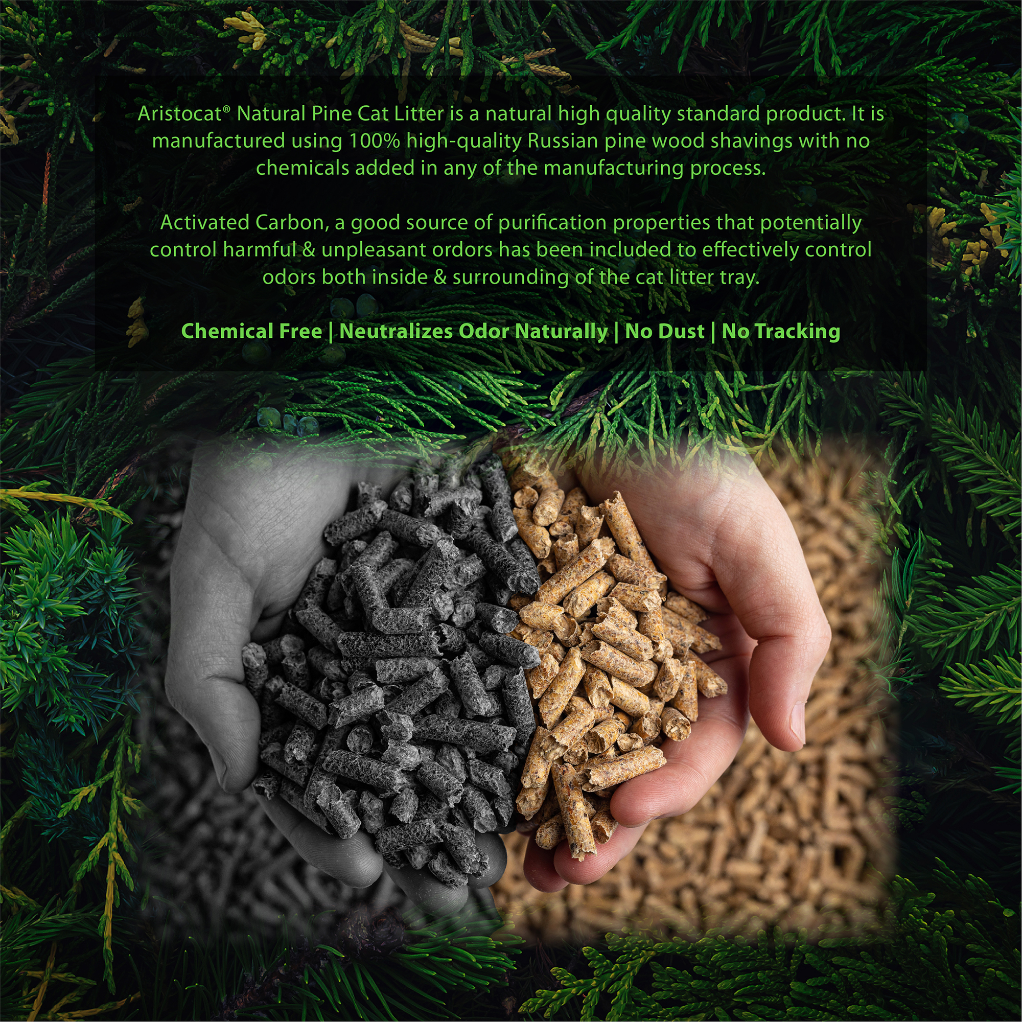 AC Cat Litter-Pine Web Post-E-02.jpg